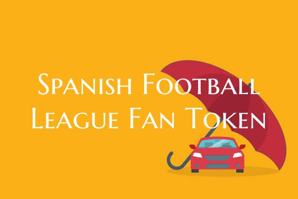 Spanish Football League Fan ...